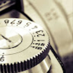 Meet your Posher, Bee